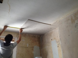 Bosters Plastering