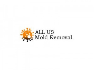 ALL US Mold Removal & Remediation - Lubbock TX