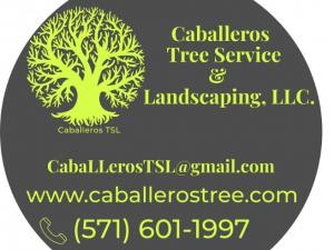 Caballeros Tree Service & Landscaping, LLC.