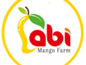 Buy Indian Mangoes Online Alphonso Mangoes Online