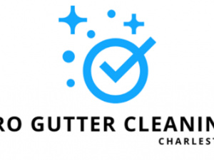 Pro Gutter Cleaning Charleston