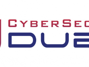 Best Online Cyber Security Service Provider In UAE
