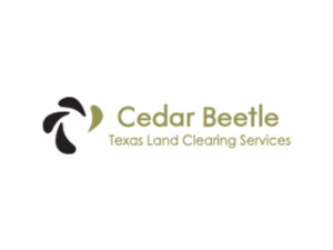 Texas Land Clearing Services ~ Cedar Beetle