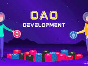 DAO Development company