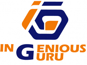 Ingenious Guru NYC