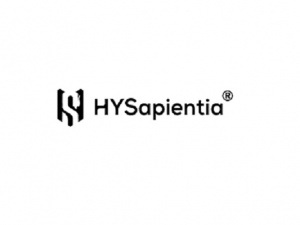 Air Fryer Ovens Are HYSapientia's Specialty