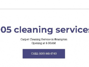 905 cleaning services