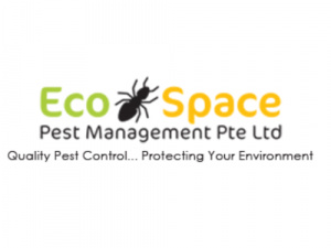 Pest Control Management Singapore