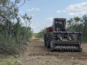  Land Clearing and Forestry Mulching Services TX