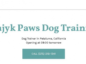 Majyk Paws Dog Training