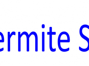 Termite Solution Lahore