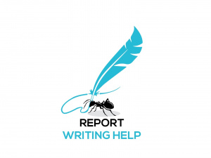 Report Writing Help