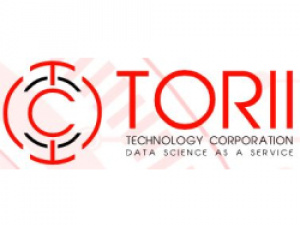 Torii Technology Data Science