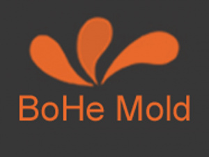 Bohe Mold Technology Company