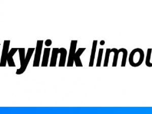 Skylink Taxi & Limousine Service Inc.