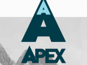 Apex Auctions