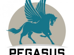 Pegasus Delivery Service LLC