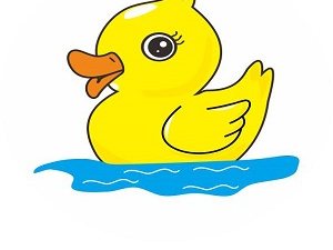 CamDuck