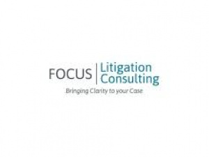 Focus Litigation Consulting, LLC