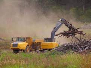 Land Clearing Austin Call us at +1 512-881-8654