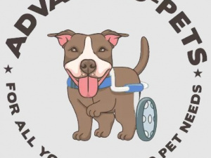 Online Store for Disabled Pet Supplies