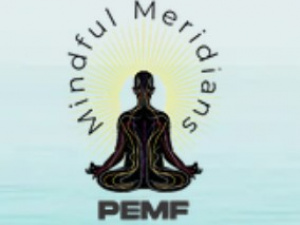 Mindful Meridians PEMF & Float Centre