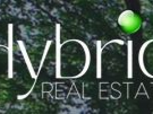 Robin Troy - Hybrid Real Estate