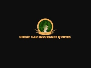 Salings Car Insurance Jacksonville FL