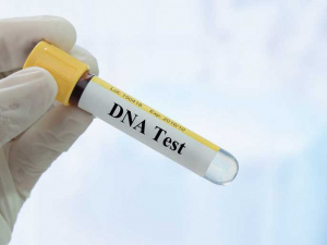 Best DNA Test Spring Valley NV