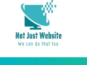 Not Just Website