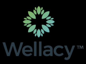 Wellacy Limited